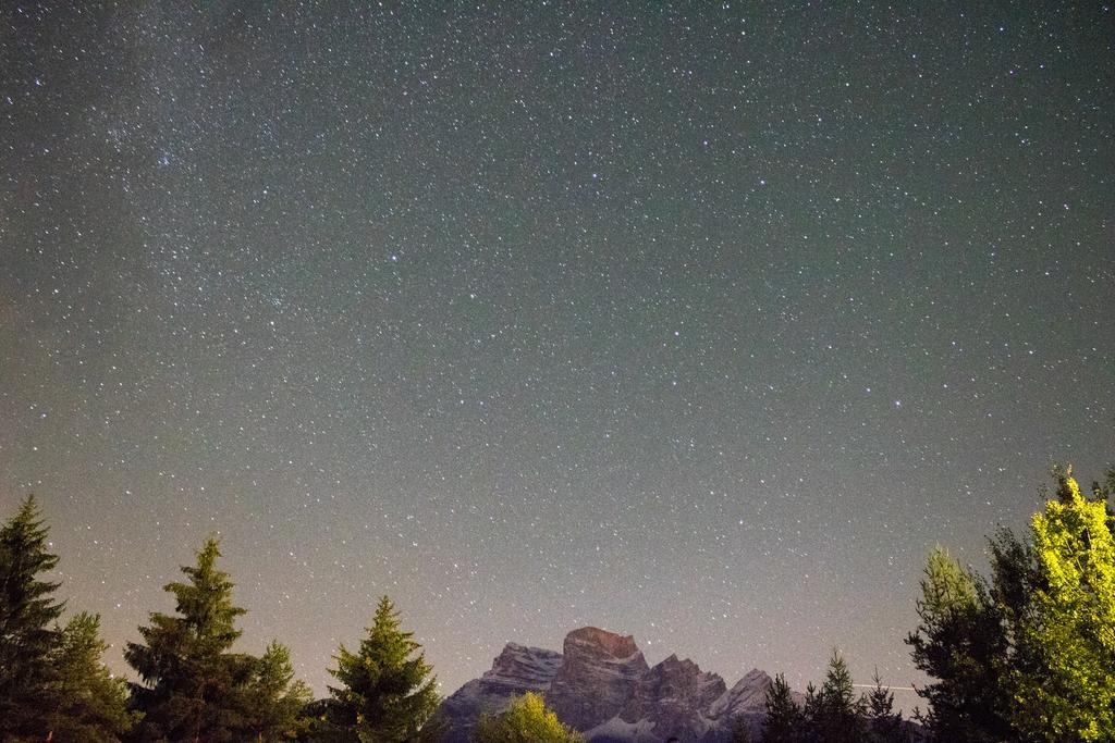 Hotel Boite Borca di Cadore Dış mekan fotoğraf